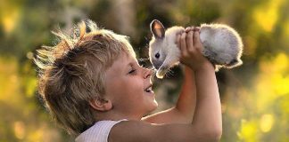 A felicidade está no saber apreciar as pequenas coisas. A felicidade está na simplicidade do dia a dia!